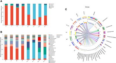 Effect of endogenous sodium and potassium ions in plants on the quality of alfalfa silage and bacterial community stability during fermentation